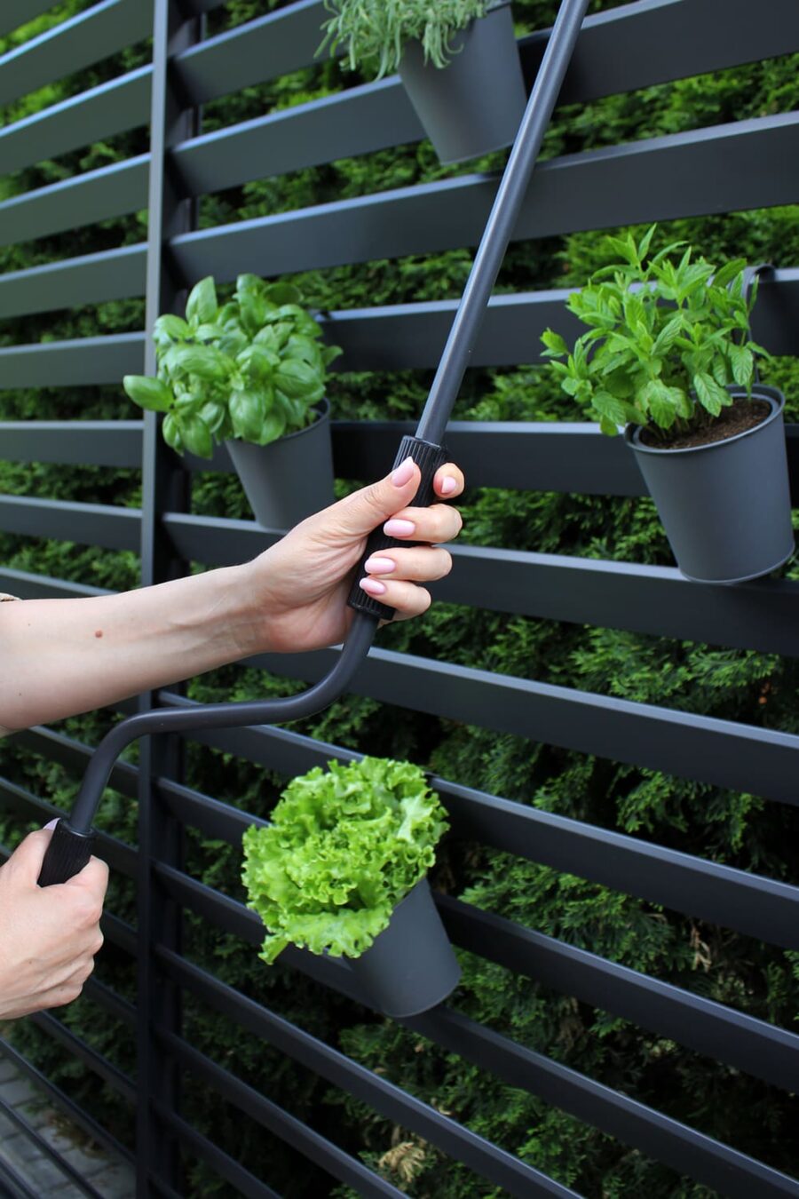 BBQ pergola